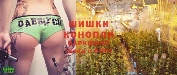 трава Белокуриха