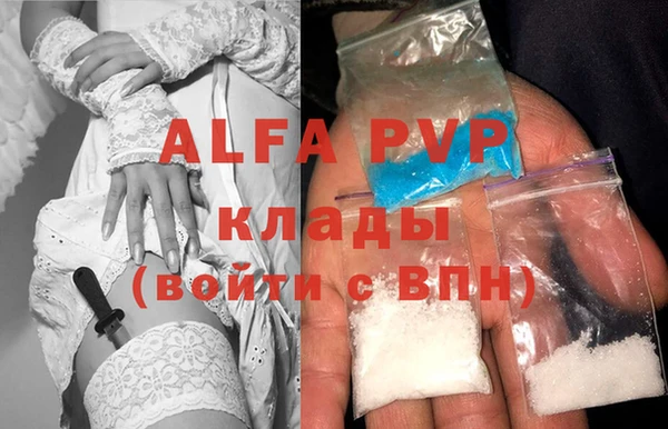 трава Белокуриха
